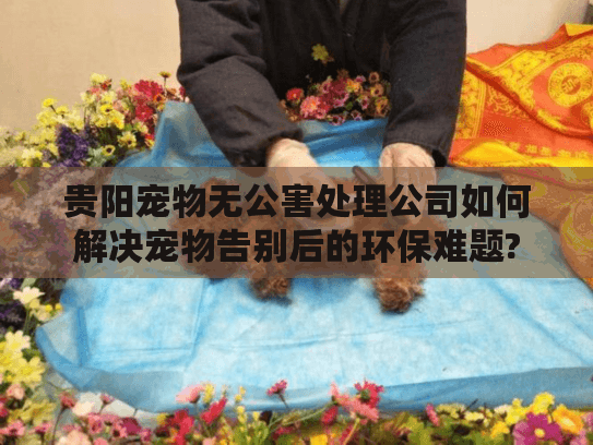 贵阳宠物无公害处理公司如何解决宠物告别后的环保难题?