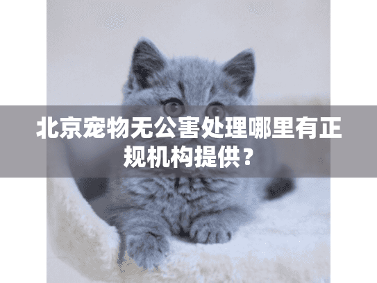 北京宠物无公害处理哪里有正规机构提供？