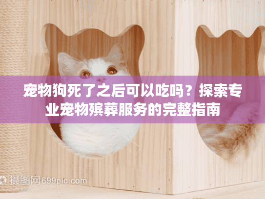 宠物狗死了之后可以吃吗？探索专业宠物殡葬服务的完整指南