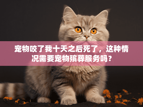 宠物咬了我十天之后死了，这种情况需要宠物殡葬服务吗？