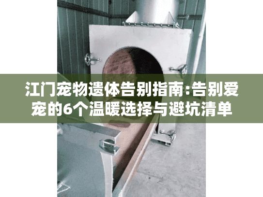 江门宠物遗体告别指南:告别爱宠的6个温暖选择与避坑清单
