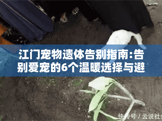 江门宠物遗体告别指南:告别爱宠的6个温暖选择与避坑清单