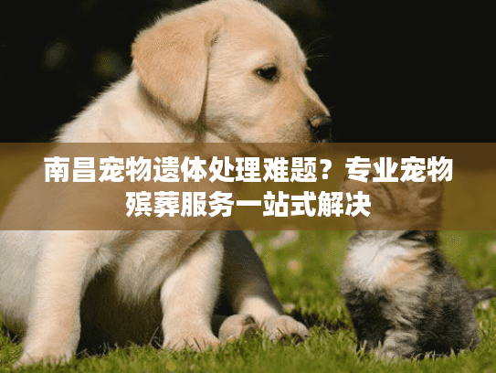 南昌宠物遗体处理难题？专业宠物殡葬服务一站式解决