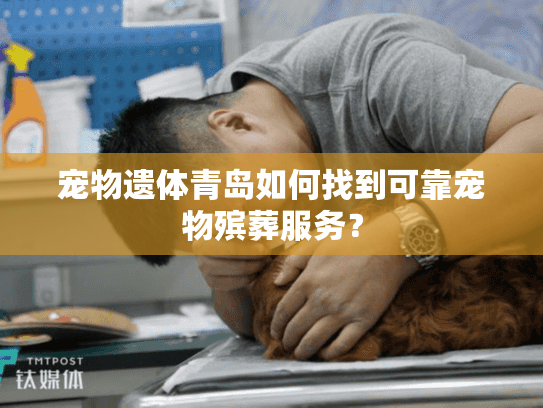 宠物遗体青岛如何找到可靠宠物殡葬服务？