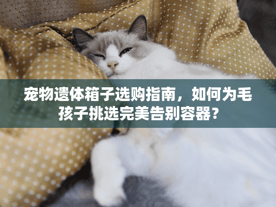 宠物遗体箱子选购指南，如何为毛孩子挑选完美告别容器？