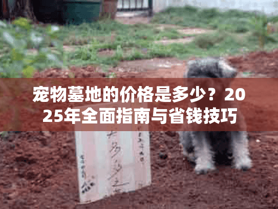 宠物墓地的价格是多少？2025年全面指南与省钱技巧