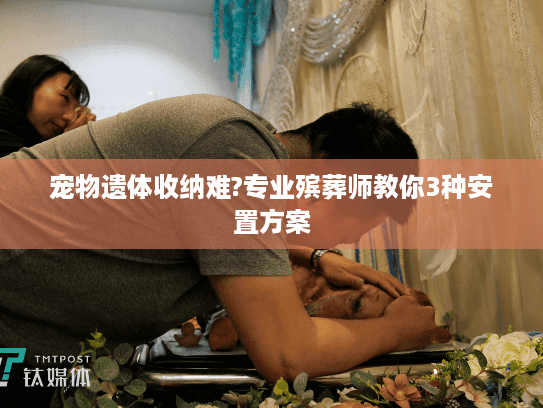 宠物遗体收纳难?专业殡葬师教你3种安置方案