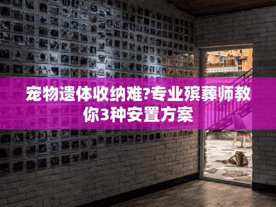 宠物遗体收纳难?专业殡葬师教你3种安置方案