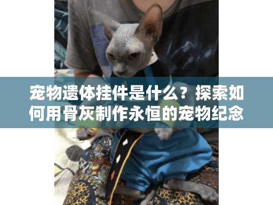 宠物遗体挂件是什么？探索如何用骨灰制作永恒的宠物纪念品