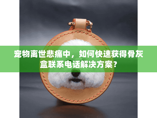 宠物离世悲痛中，如何快速获得骨灰盒联系电话解决方案？
