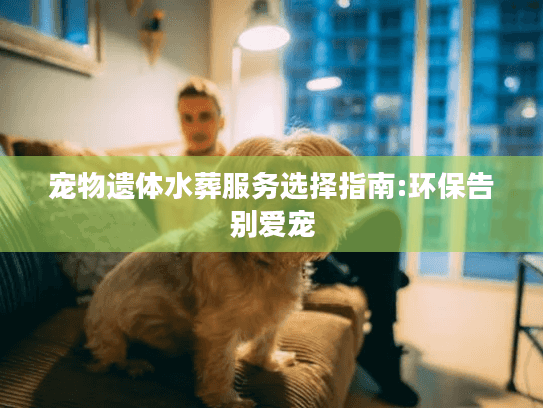 宠物遗体水葬服务选择指南:环保告别爱宠