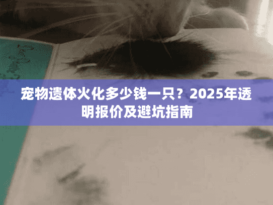 宠物遗体火化多少钱一只？2025年透明报价及避坑指南