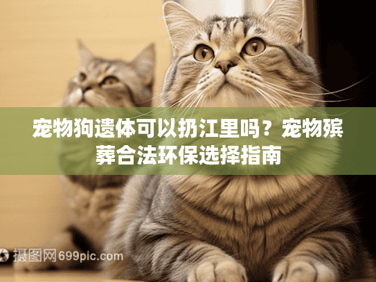 宠物狗遗体可以扔江里吗？宠物殡葬合法环保选择指南
