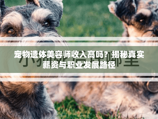 宠物遗体美容师收入高吗？揭秘真实薪资与职业发展路径