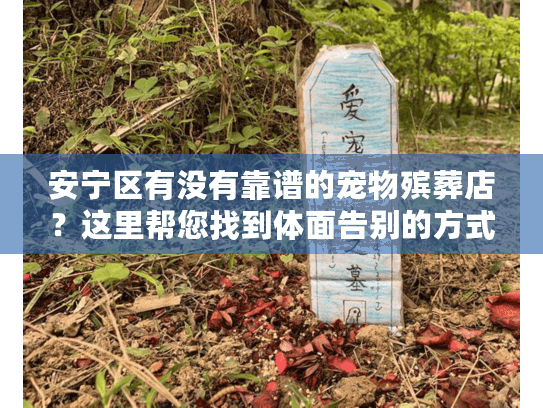 安宁区有没有靠谱的宠物殡葬店？这里帮您找到体面告别的方式