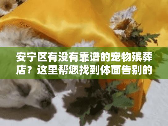 安宁区有没有靠谱的宠物殡葬店？这里帮您找到体面告别的方式