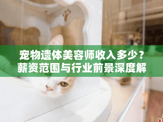 宠物遗体美容师收入多少？薪资范围与行业前景深度解析