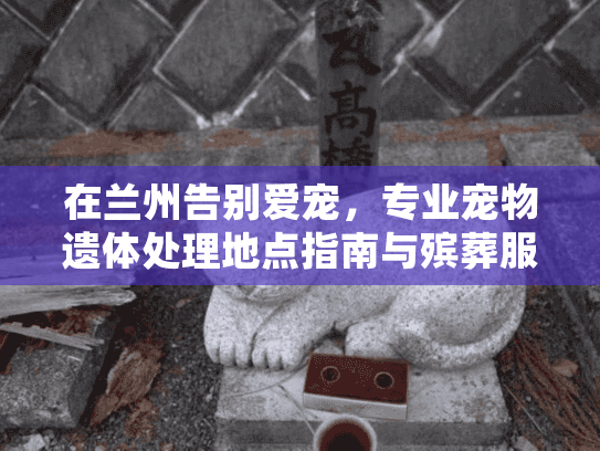 在兰州告别爱宠，专业宠物遗体处理地点指南与殡葬服务推荐