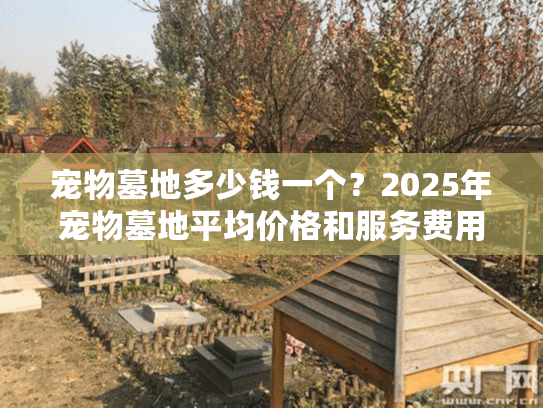 宠物墓地多少钱一个？2025年宠物墓地平均价格和服务费用深度指南