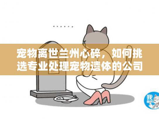 宠物离世兰州心碎，如何挑选专业处理宠物遗体的公司？