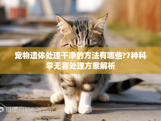 宠物遗体处理干净的方法有哪些?7种科学无害处理方案解析