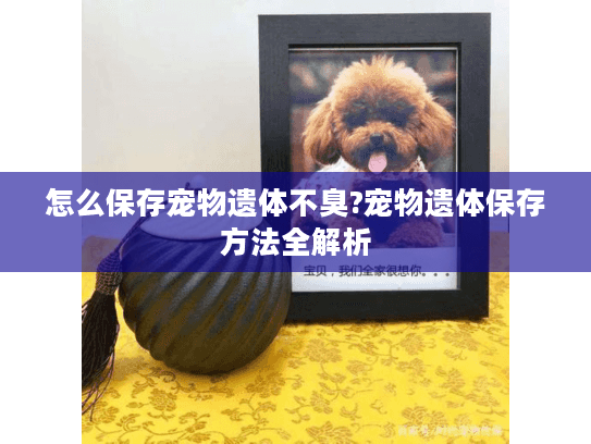 怎么保存宠物遗体不臭?宠物遗体保存方法全解析