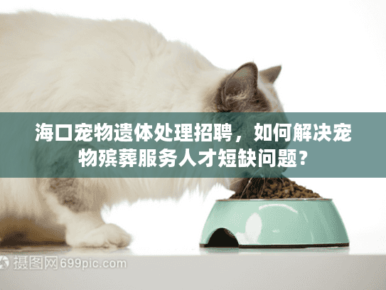 海口宠物遗体处理招聘，如何解决宠物殡葬服务人才短缺问题？