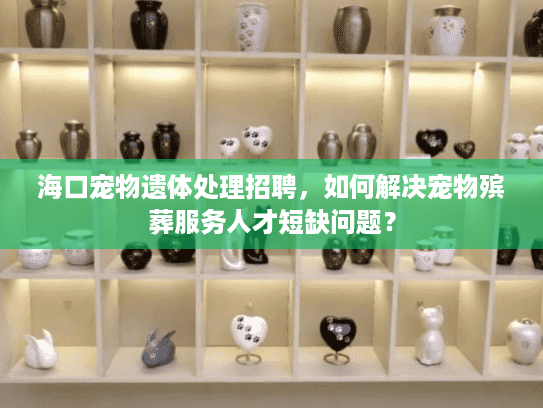海口宠物遗体处理招聘，如何解决宠物殡葬服务人才短缺问题？
