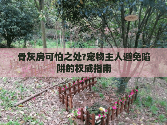 骨灰房可怕之处?宠物主人避免陷阱的权威指南