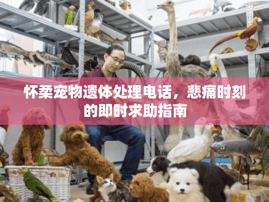 怀柔宠物遗体处理电话，悲痛时刻的即时求助指南