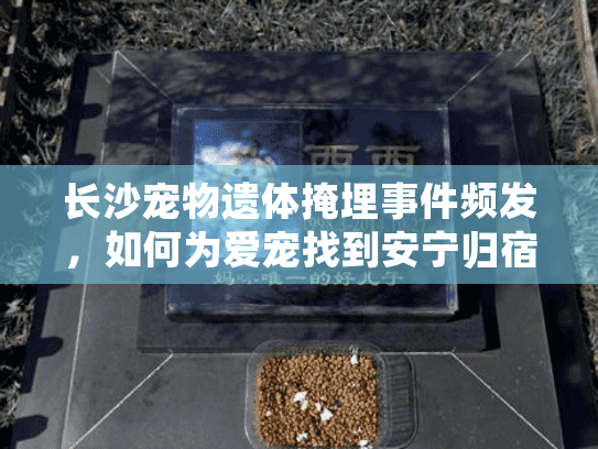 长沙宠物遗体掩埋事件频发，如何为爱宠找到安宁归宿？