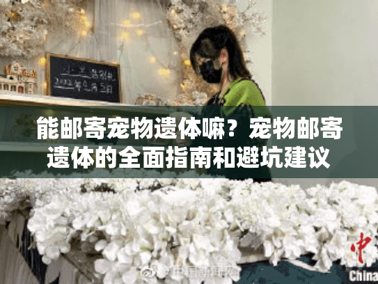 能邮寄宠物遗体嘛？宠物邮寄遗体的全面指南和避坑建议