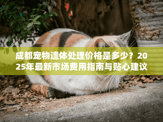 成都宠物遗体处理价格是多少？2025年最新市场费用指南与贴心建议