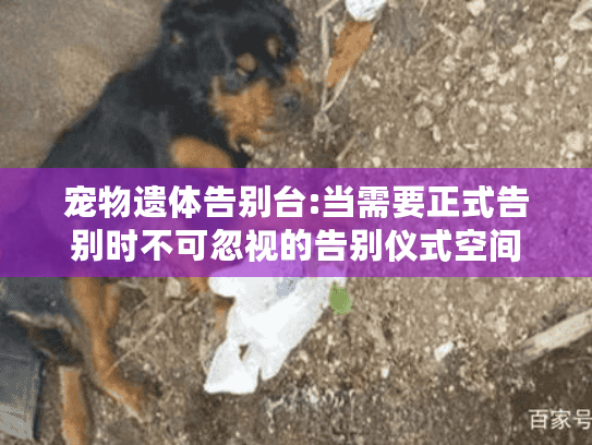 宠物遗体告别台:当需要正式告别时不可忽视的告别仪式空间
