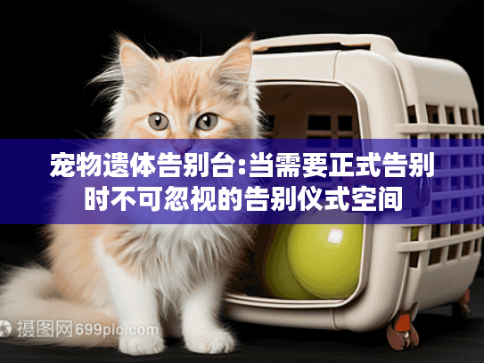 宠物遗体告别台:当需要正式告别时不可忽视的告别仪式空间