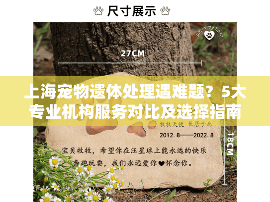 上海宠物遗体处理遇难题？5大专业机构服务对比及选择指南