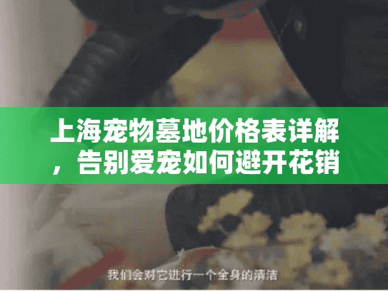 上海宠物墓地价格表详解，告别爱宠如何避开花销陷阱？