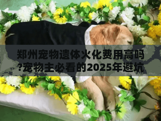 郑州宠物遗体火化费用高吗?宠物主必看的2025年避坑指南