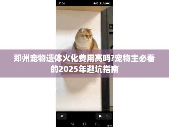 郑州宠物遗体火化费用高吗?宠物主必看的2025年避坑指南