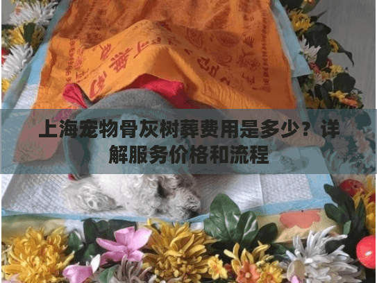 上海宠物骨灰树葬费用是多少？详解服务价格和流程