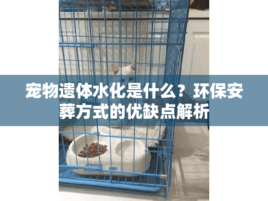 宠物遗体水化是什么？环保安葬方式的优缺点解析