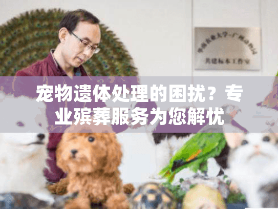 宠物遗体处理的困扰？专业殡葬服务为您解忧