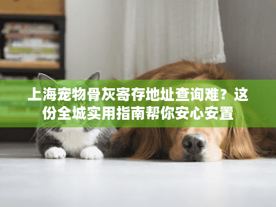 上海宠物骨灰寄存地址查询难？这份全城实用指南帮你安心安置