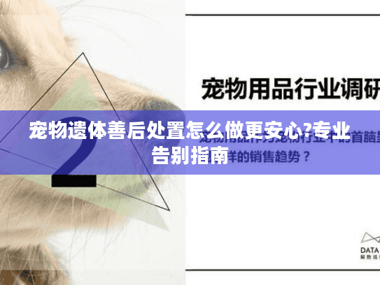 宠物遗体善后处置怎么做更安心?专业告别指南