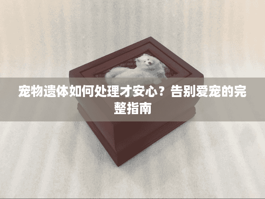 宠物遗体如何处理才安心？告别爱宠的完整指南