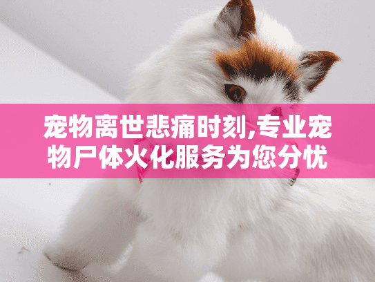 宠物离世悲痛时刻,专业宠物尸体火化服务为您分忧 宠物离世悲痛时刻,专业宠物尸体火化服务为您分忧