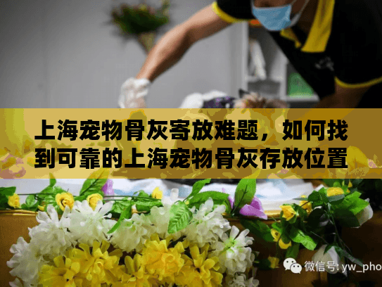 上海宠物骨灰寄放难题，如何找到可靠的上海宠物骨灰存放位置？