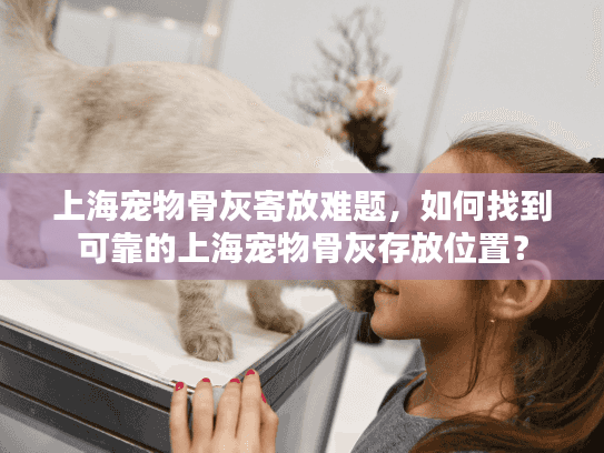 上海宠物骨灰寄放难题，如何找到可靠的上海宠物骨灰存放位置？