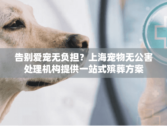 告别爱宠无负担？上海宠物无公害处理机构提供一站式殡葬方案