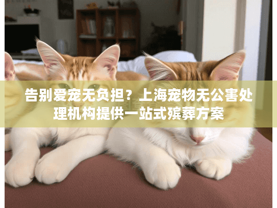 告别爱宠无负担？上海宠物无公害处理机构提供一站式殡葬方案